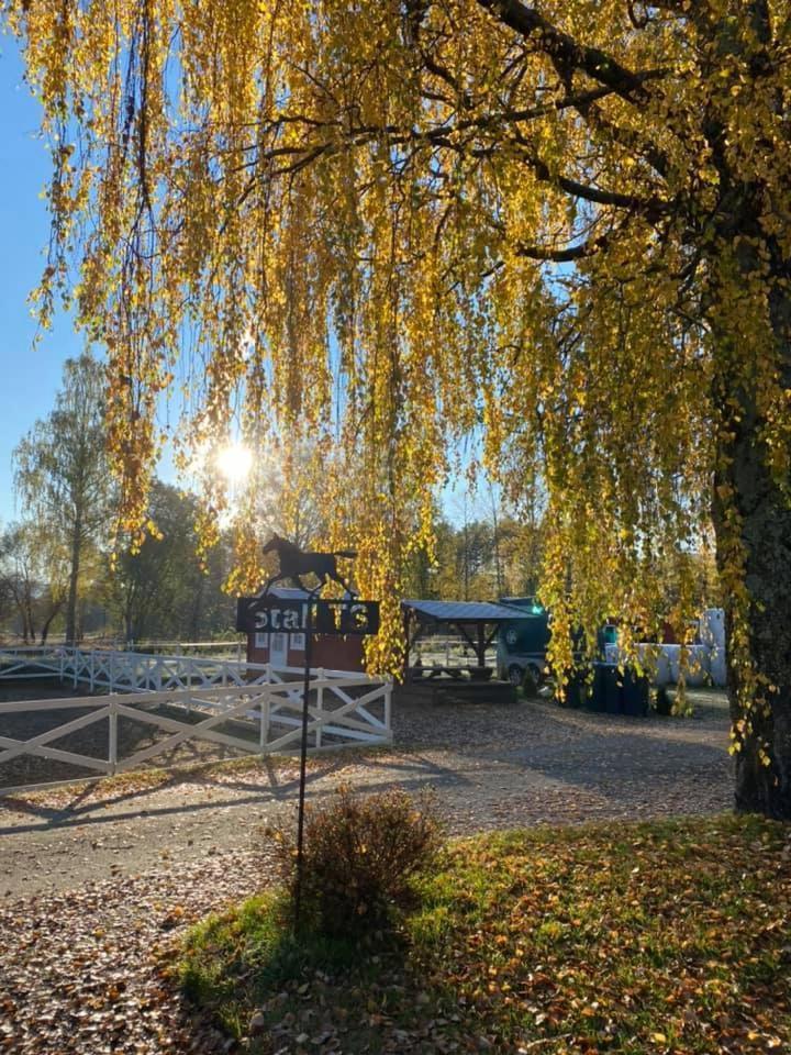 Gardsopphold Notodden Exterior foto